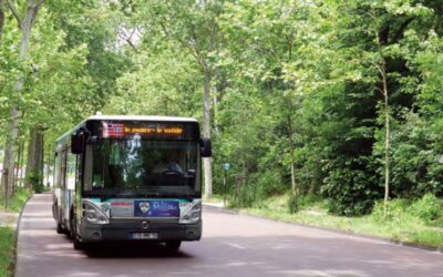 La desserte du bois de Boulogne par les transports collectifs de surface